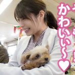 Thumbnail of post image 176